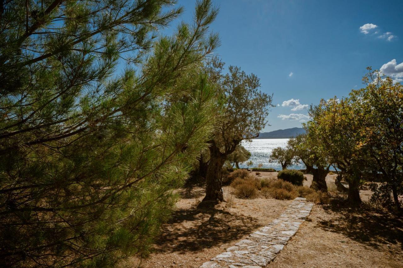 Traditional Architecture Seafront Stone House In 25000Sqm Olive Grove - C Villa Alyfanta Exterior photo